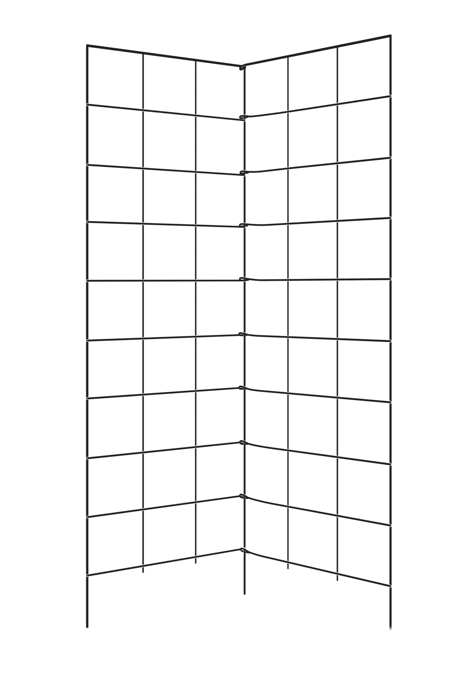 PE/CAGE - 2PF