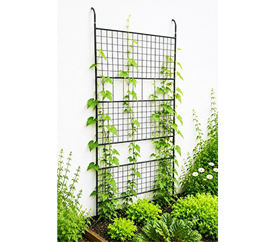 Trellises